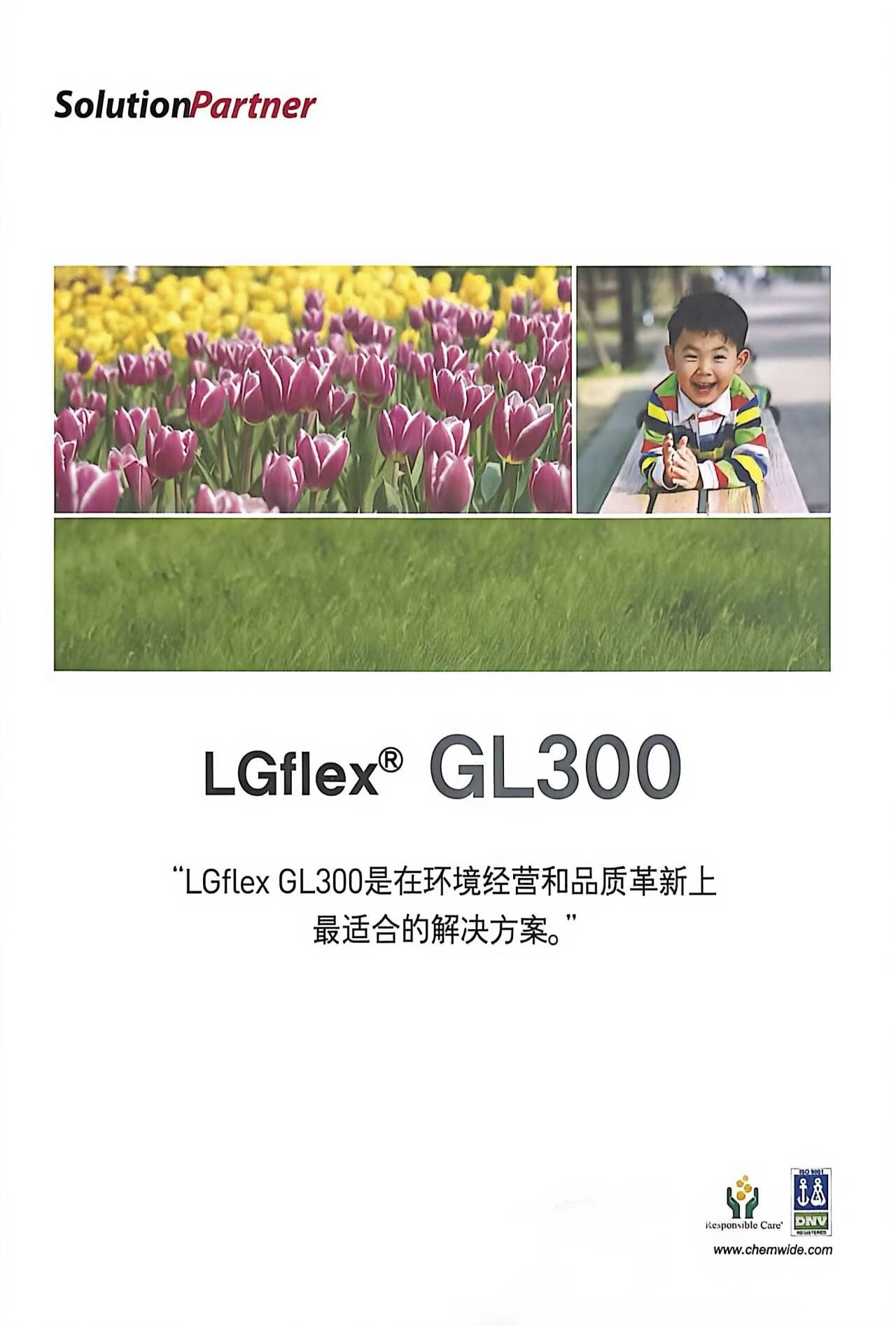 LGflex GL-300 产品介绍封面